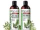 Free Anti-Dandruff Shampoo Sample from Shiny Leaf picture of shiny leaf anti-dandruff shampoo
