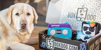 40% Off Your First Box Dog with Code FALL40 Box Dog